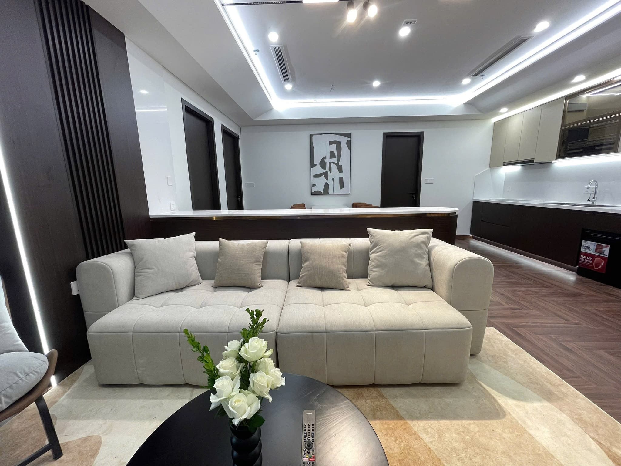 2 bedroom apartment on Sun Ponte Building